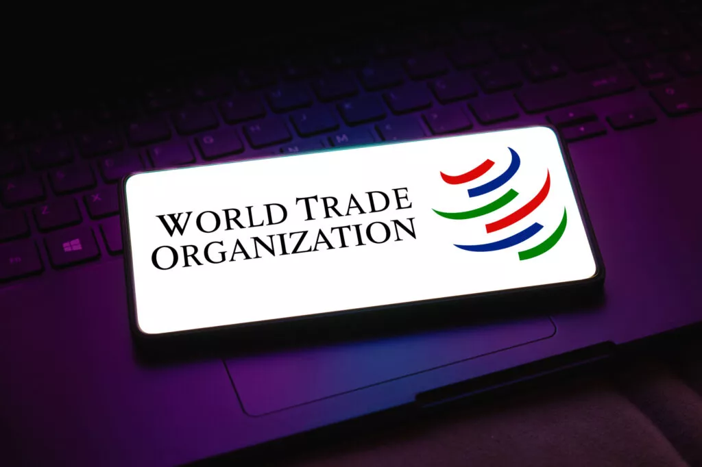 Consensus Collapses: WTO Meet Signals Fragmentation in Digital Trade Rules Consensus Collapses: WTO Meet Signals Fragmentation in Digital Trade Rules