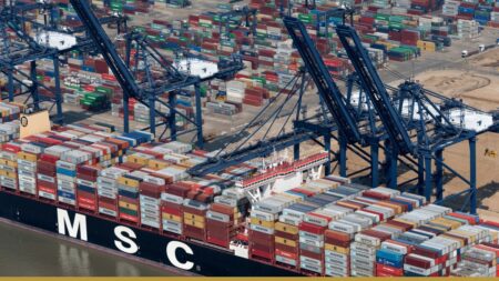 Container ship MSC Tina at the Port of Felixstowe, United Kingdom
